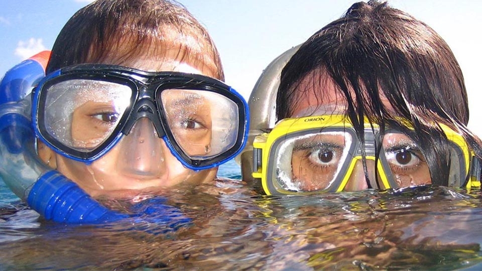 Croisières Snorkeling