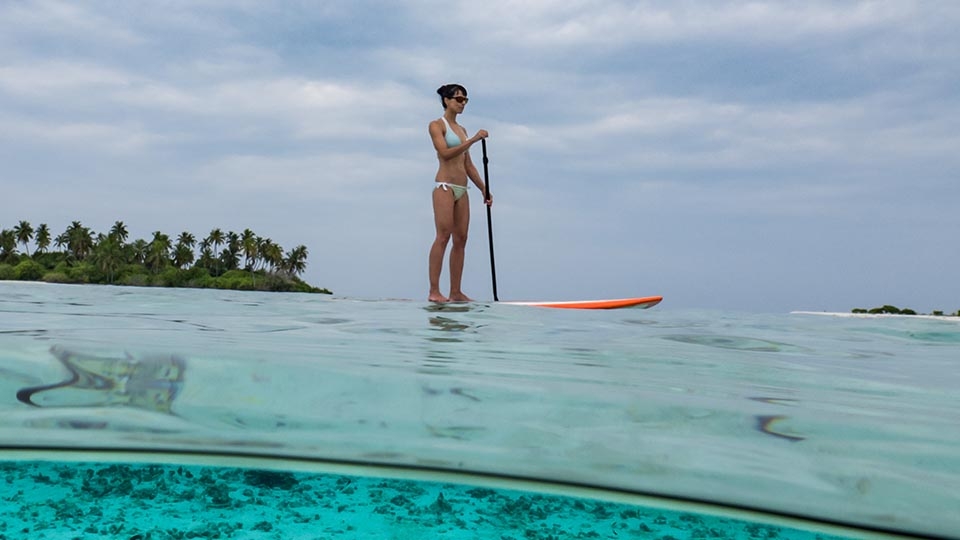 Croisières Snorkeling